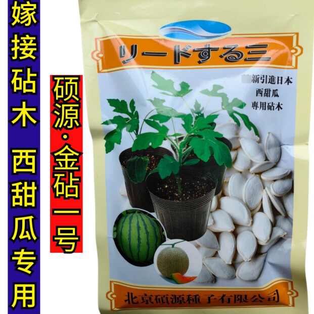 西瓜甜瓜专用砧木嫁接用南瓜种子苗场用抗病金砧一号粘木种子籽孑