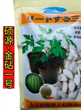 西瓜甜瓜专用砧木嫁接用南瓜种子苗场用抗病金砧一号粘木种子籽孑