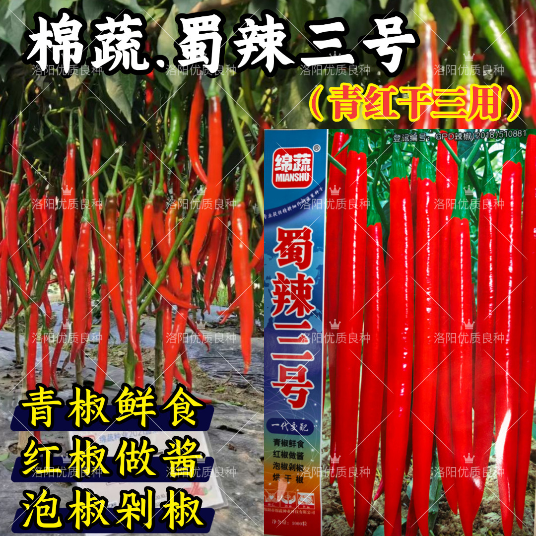 蜀辣三号线椒辣椒种子青红干条椒泡椒剁椒红椒酱高辣二荆条种子籽