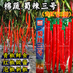 蜀辣三号线椒辣椒种子青红干条椒泡椒剁椒红椒酱高辣二荆条种子籽