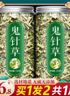 新货鬼针草血压高茶野生