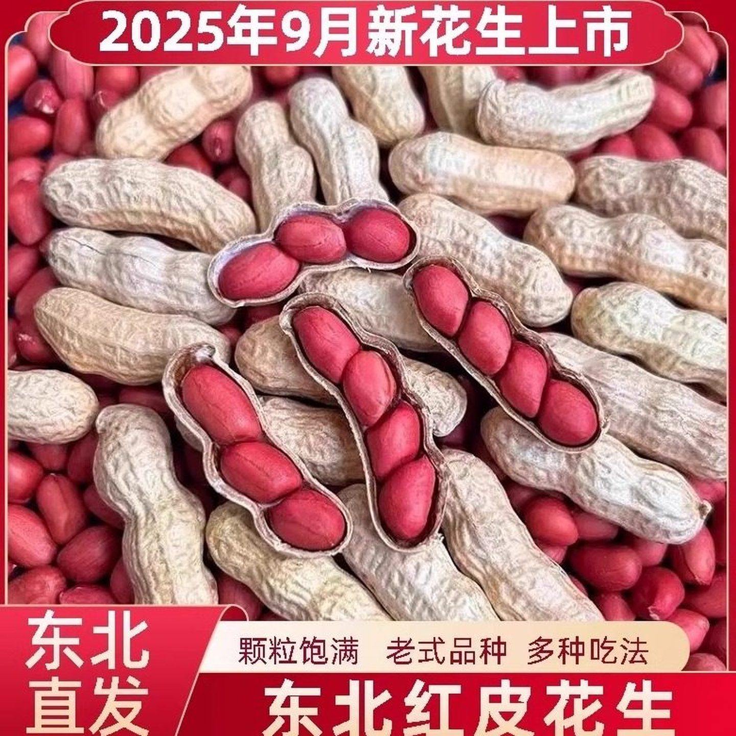 2025年东北红皮花生带壳花生新货四粒红花生米红衣花生新鲜生花生,粮油调味/速食/干货/烘焙,花生,淘宝优惠券,粉丝福利购,淘宝优惠卷