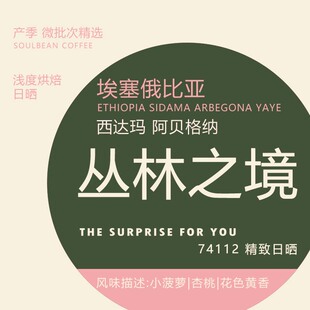 24丛林之境 埃塞俄比亚74112豆种精致日晒高甜低酸鲜烘焙咖啡100g