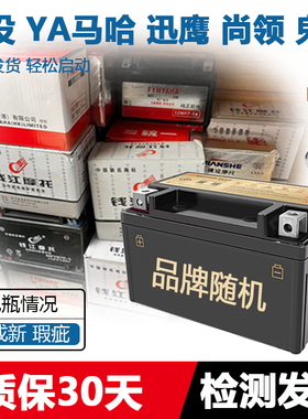 YTX7A-BS摩托车干电瓶125迅鹰鬼火悦星豪迈助力踏板车12V7A蓄电池