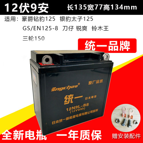 太子摩托车电池110/125/150三轮