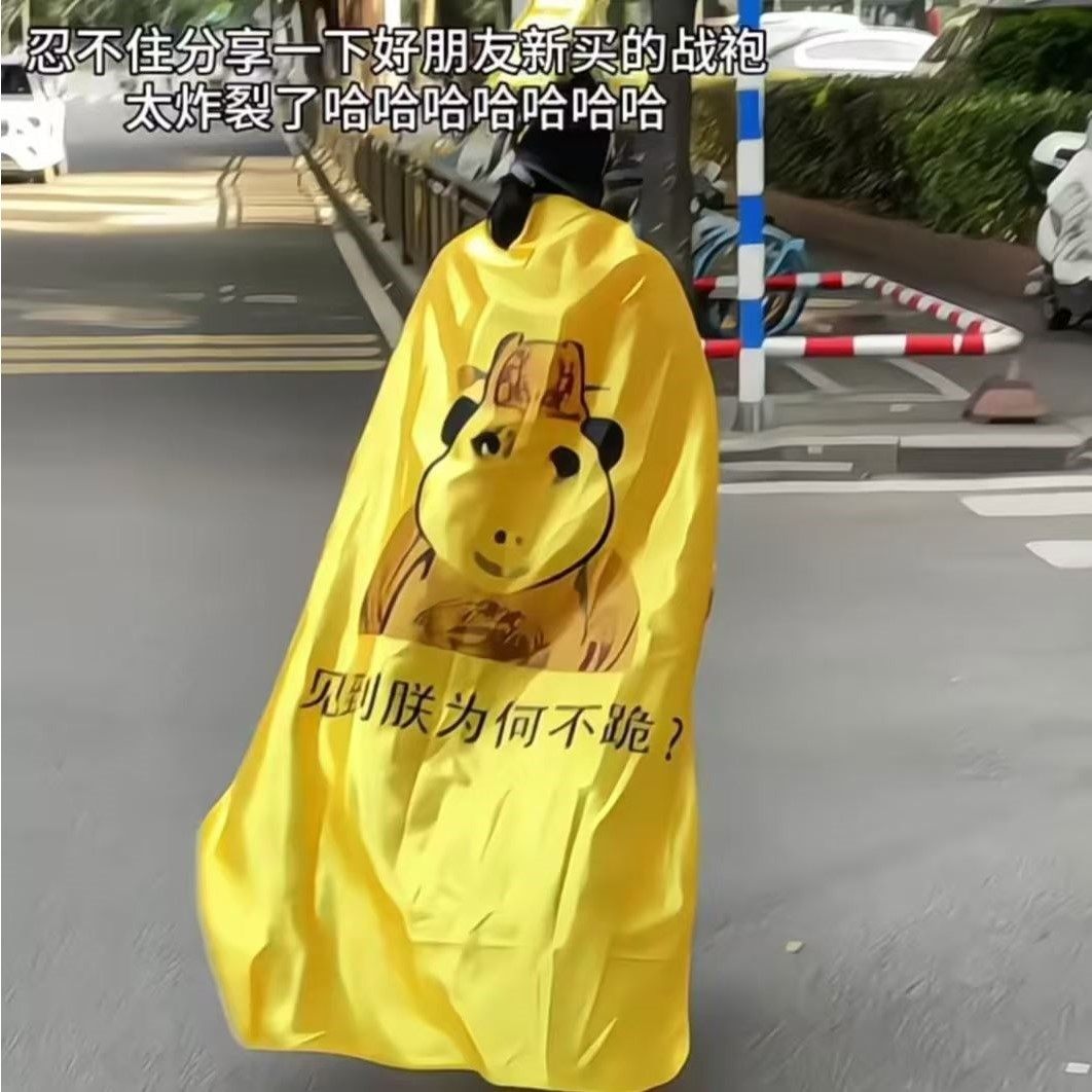 皇帝龙图披风A龙袍披风见朕为何不跪cosplay搞怪游戏扮演抽象百搭