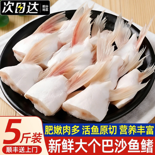新鲜速冻巴沙鱼鳍鱼肥油鱼鳍翅鮰鱼鳍鱼腩烧烤商用海鲜水产批发