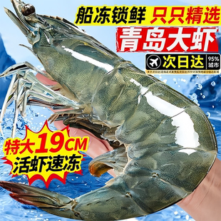 新鲜青岛大虾鲜活速冻特大号基围虾青岛海鲜生鲜冻虾白虾商用批发