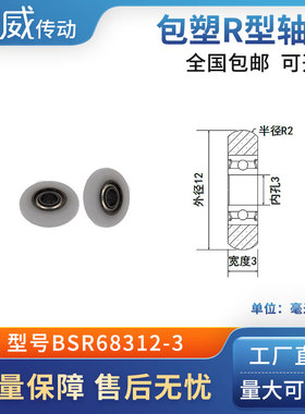 圆弧球面包塑滑轮POM聚甲醛尼龙成型轴承耐磨承重抗压BSR68312-3