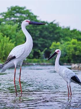 户外仿真白鹳雕塑白鹤模型玻璃钢水池塘水景园林白鹭景观仙鹤摆件
