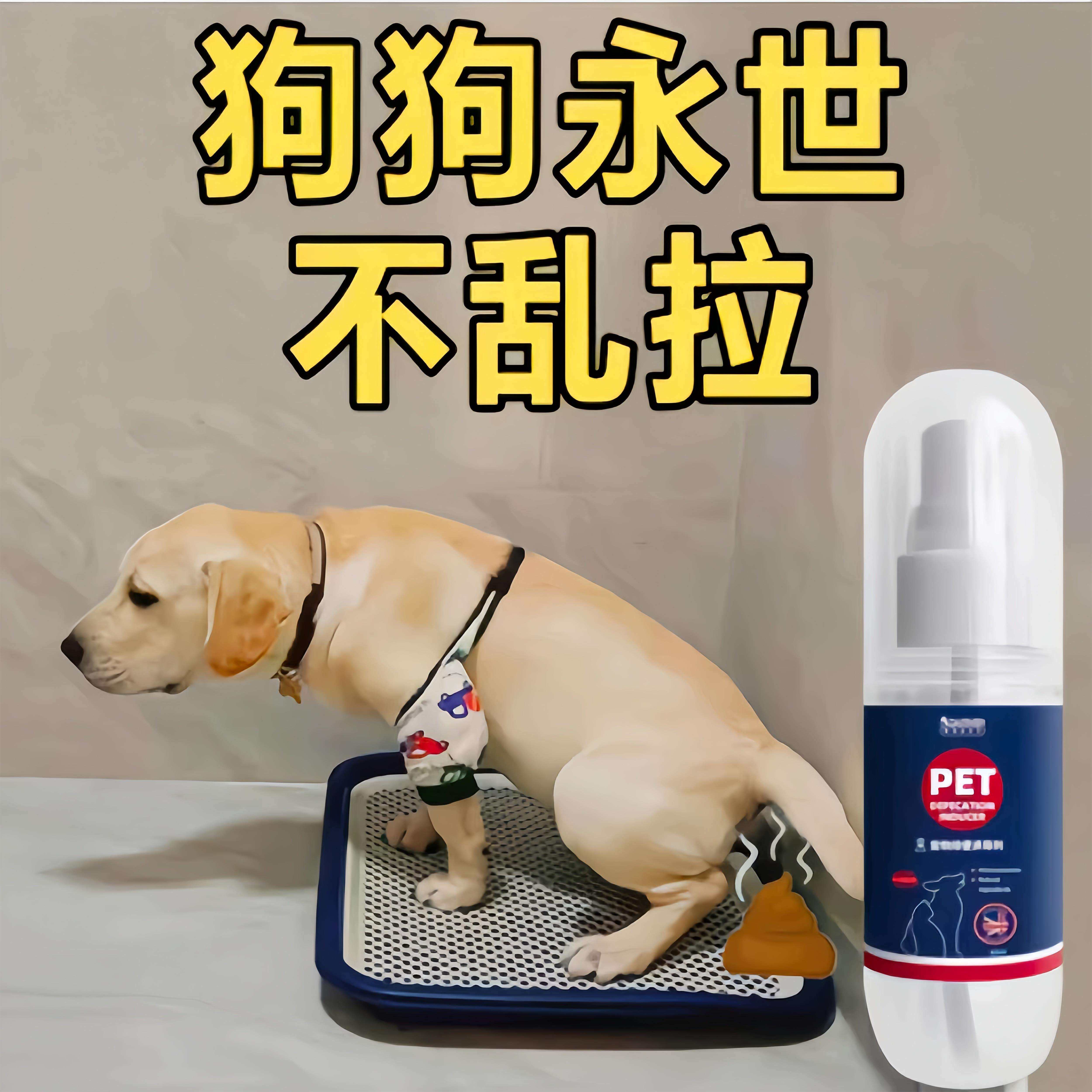 宠物猫狗不乱拉猫狗定点排便上厕所诱导剂狗大小便狗训练拉屎