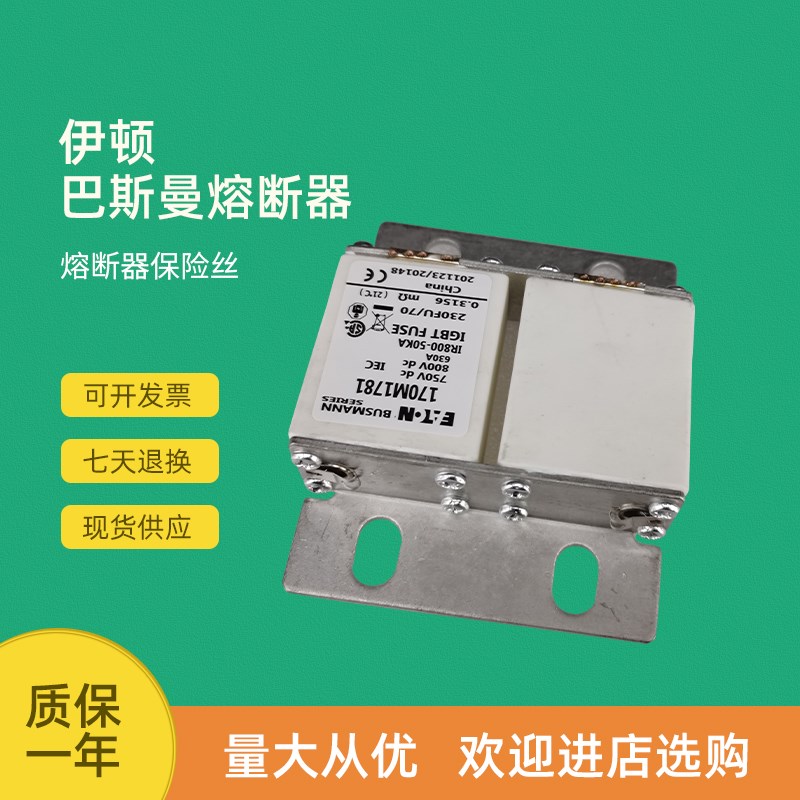 全新快速熔断器保险170M1735 170M1C736 170M1737 170M1738