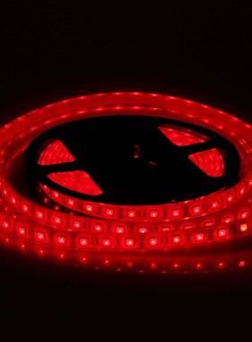 灌胶低压水底室外防水灯带 鱼v缸灯带水池12V灯带七彩可变色 IP68