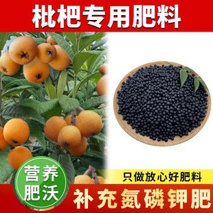 枇杷树专用肥料果树盆栽廪廪弿防枯黄促花保果金丸琵琶有机颗粒肥