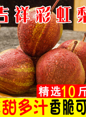 梨子新鲜水果彩虹梨10斤应当季整箱早酥梨红香蜜梨雪梨青皇翠冠梨