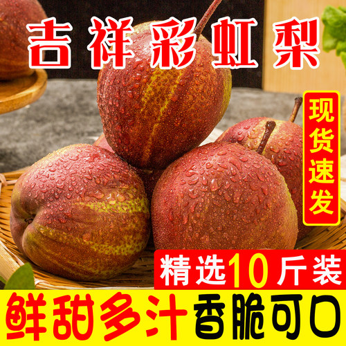 【彩虹梨口碑榜】TOP商家