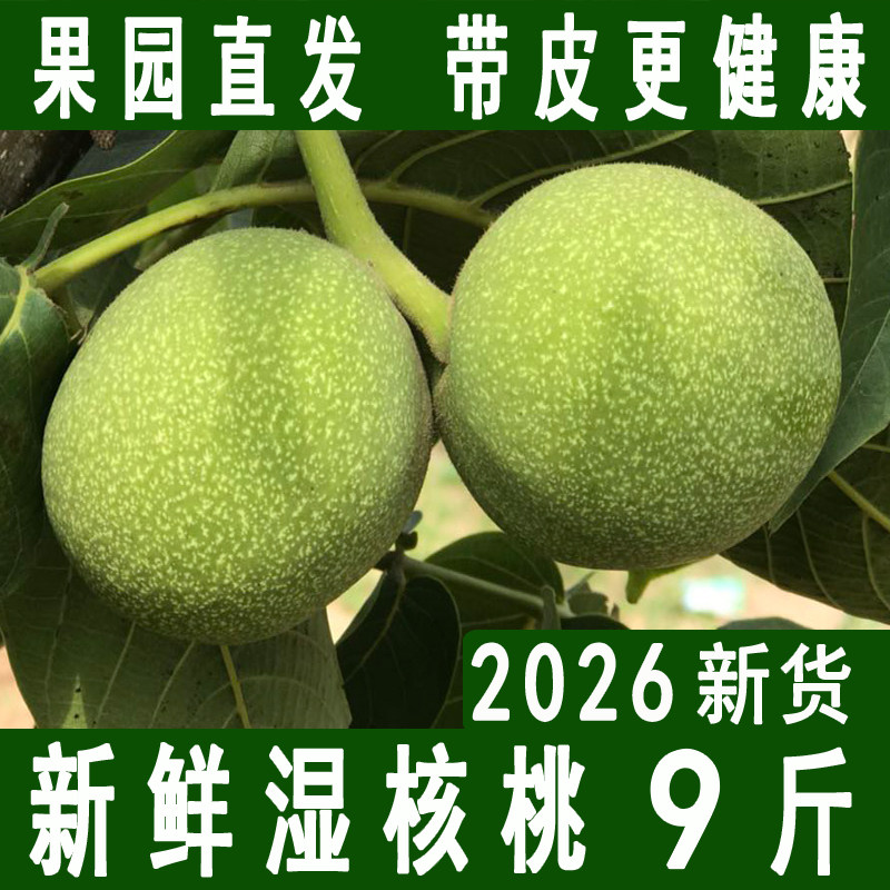2026新鲜核桃带青皮湿核桃去绿皮生核桃薄皮孕妇专用嫩黑桃新货批