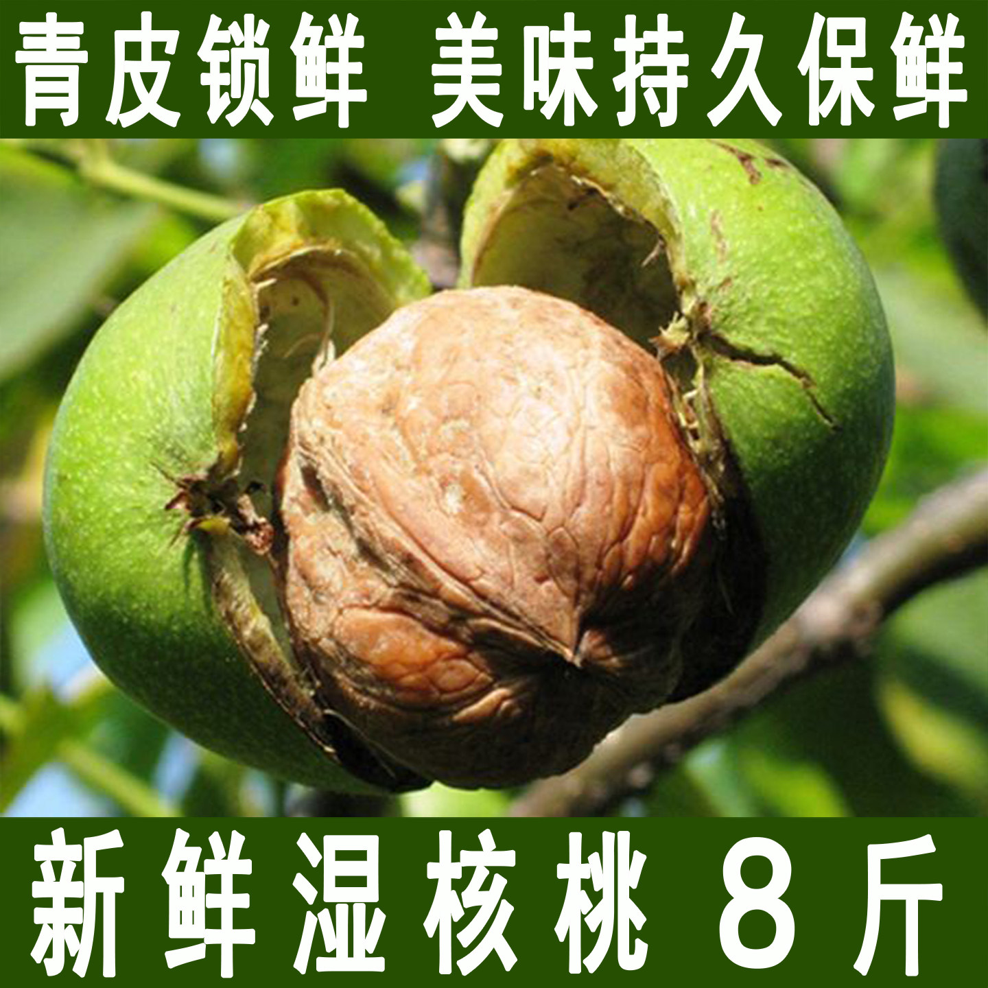 2026新鲜核桃去青皮湿核桃8斤带绿皮嫩核桃现摘薄皮孕妇黑桃批发
