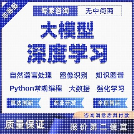 python代做编程AI智能体目标检测神经网络NLP知识图谱机器学习