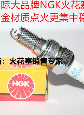 本田银翼600 银翼400 SILVERWING600大绵羊摩托适用NGK镍金火花塞