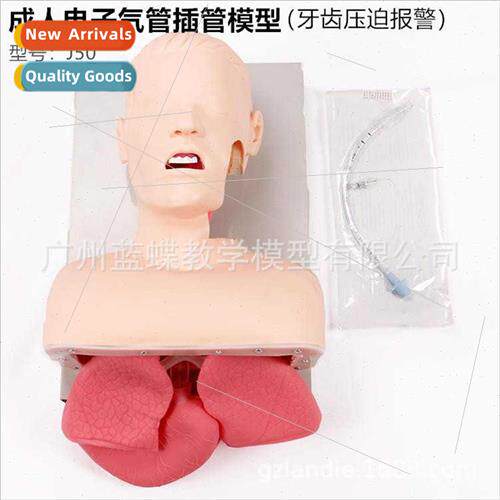 J50 adult electronic tracheal intubation teaching model huma