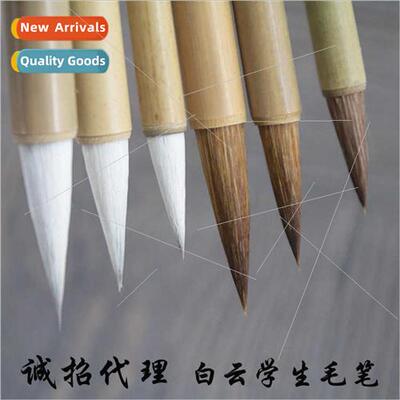 White Cloud Brushes适用Students Calligraphy Class Calligraph