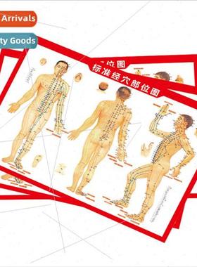 Moxibustion acupuncture point chart  human body meridian map