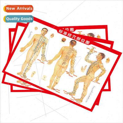 Moxibustion acupuncture point chart  human body meridian map