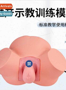 Childbirth teaching model Advanced difficult labor teaching