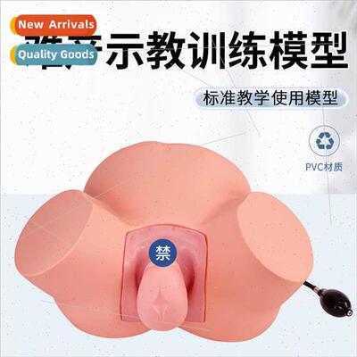 Childbirth teaching model Advanced difficult labor teaching