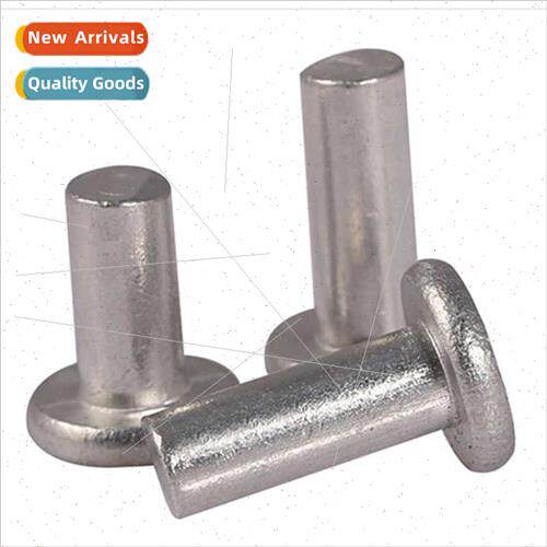 201 Stainless Steel Flat Head Solid Rivets 2MM 2.5MM 3.5MM 4