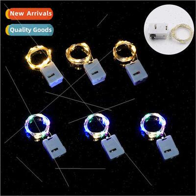 Copper wire light string small whe box wh batteries flowers