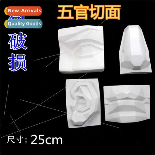 Brandt art supplies plaster statue five senses cut David fiv
