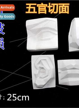 Brandt art supplies plaster statue five senses cut David fiv