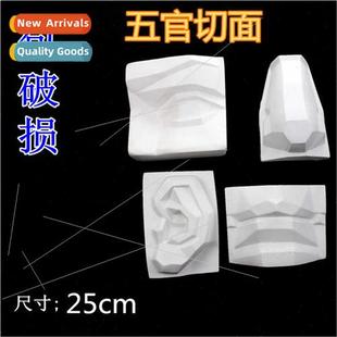 plaster statue David art fiv cut supplies senses Brandt five