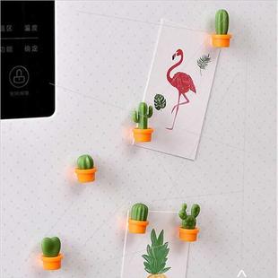 succulent Kchen refrigerator cactus greene stickers