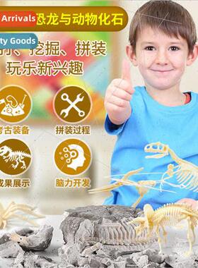 Children excavation educational toys dinosaur fossil skeleto