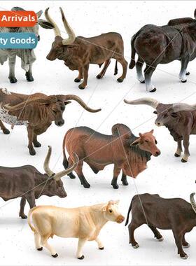 Anchor Lavatucci Texas Longhorn Rumpelstiltskin Charolais Ca