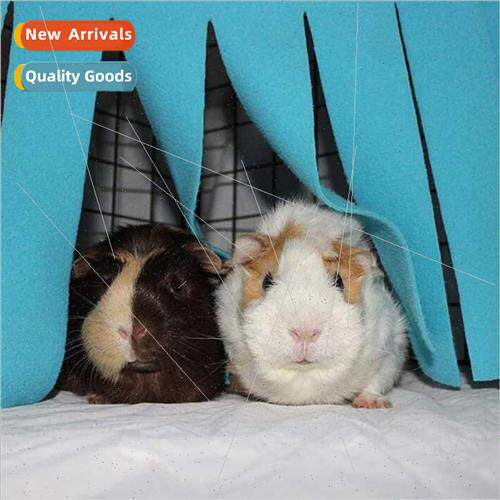 Hamster Canvas Hammock House Rabb Tassel Corner House Hideaw