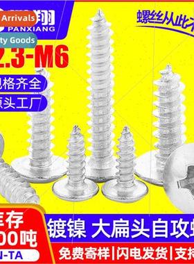 TA iron large flat head tapping screws cross mushroom head t
