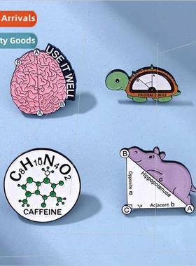 Cartoon chemical molecule triangle ruler turtle shape studen