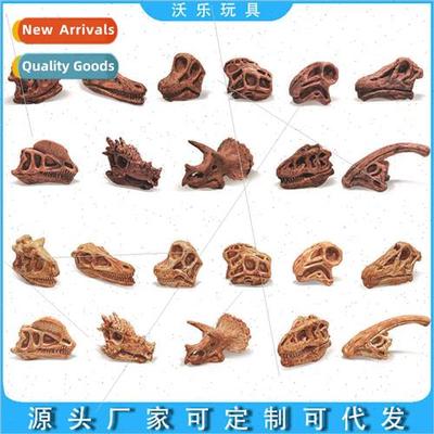 Ancient Mini-Prehistoric Mammal Skulls Great Horned Thunder