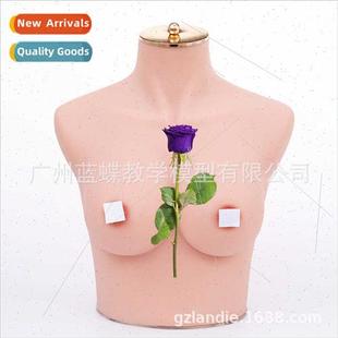 Silicone soft body model simulation mannequin bra model fema