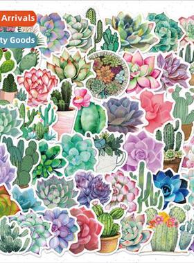 50 pcs Plant Succulent Cactus Cartoon Doodle Stickers Laptop