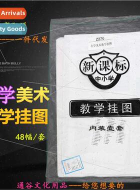 Elementary School 48 Art Teaching Wall Chart Folio Copperpla