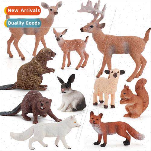 mulation est animal beaver anteater squirrel monkey house ra