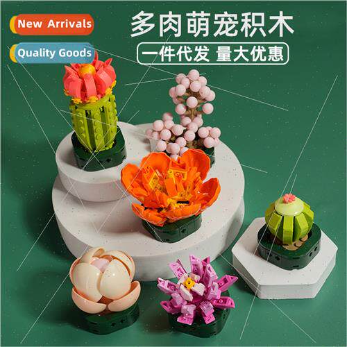 JAKI Jaki succulent blocks flower pot plant small particles