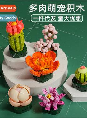 JAKI Jaki succulent blocks flower pot plant small particles