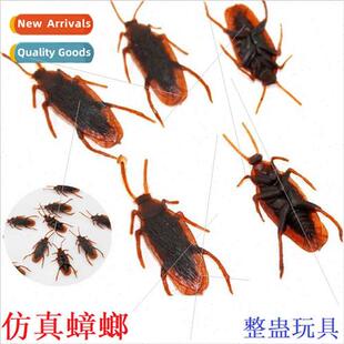 mulation cockroach Tinker toy scared cockroach small strong