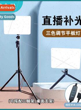 Between lights to light up floor beauty indoor shooting 10-i